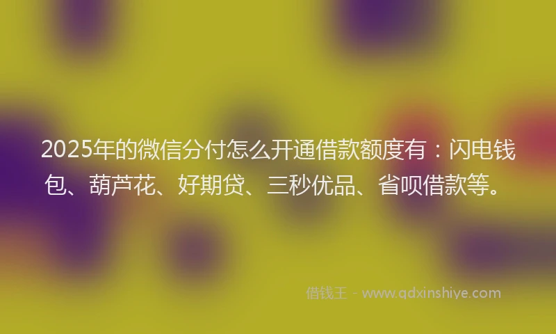 2025年的微信分付怎么开通借款额度有：闪电钱包、葫芦花、好期贷、三秒优品、省呗借款等。