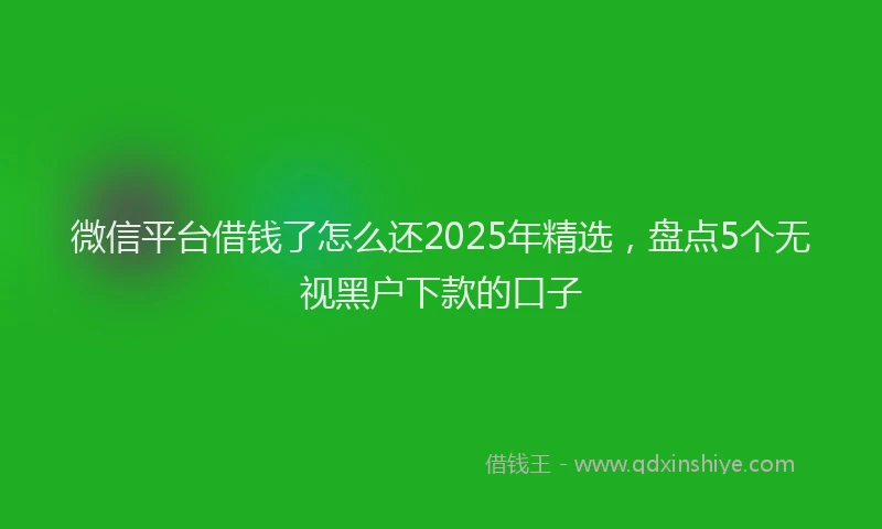 微信平台借钱了怎么还2025年精选，盘点5个无视黑户下款的口子