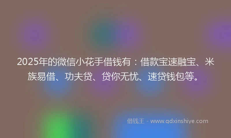 2025年的微信小花手借钱有：借款宝速融宝、米族易借、功夫贷、贷你无忧、速贷钱包等。