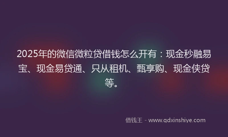 2025年的微信微粒贷借钱怎么开有：现金秒融易宝、现金易贷通、只从租机、甄享购、现金侠贷等。