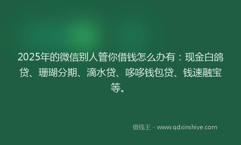 2025年的微信别人管你借钱怎么办有：现金白鸽贷、珊瑚分期、滴水贷、哆哆钱包贷、钱速融宝等。