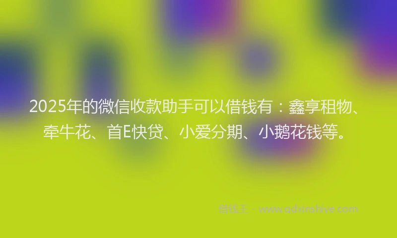 2025年的微信收款助手可以借钱有：鑫享租物、牵牛花、首E快贷、小爱分期、小鹅花钱等。