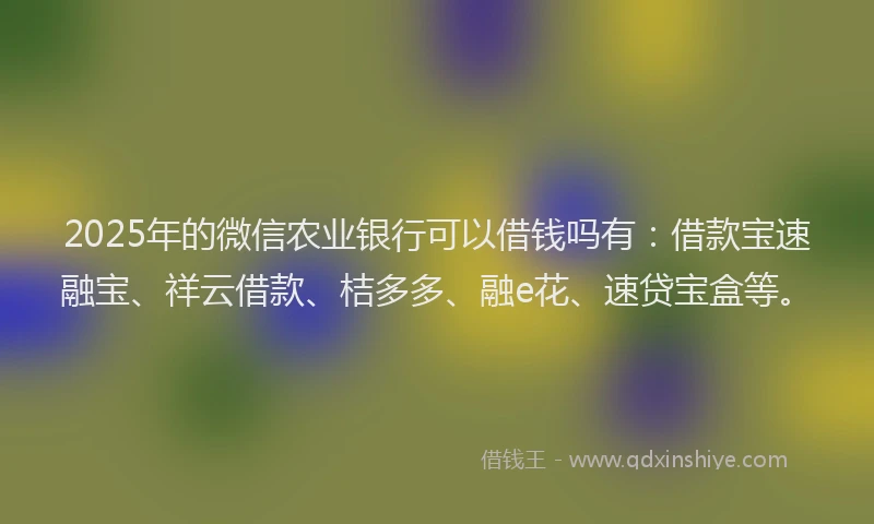 2025年的微信农业银行可以借钱吗有：借款宝速融宝、祥云借款、桔多多、融e花、速贷宝盒等。