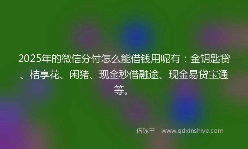 2025年的微信分付怎么能借钱用呢有：金钥匙贷、桔享花、闲猪、现金秒借融途、现金易贷宝通等。