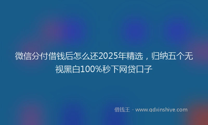 微信分付借钱后怎么还2025年精选，归纳五个无视黑白100%秒下网贷口子