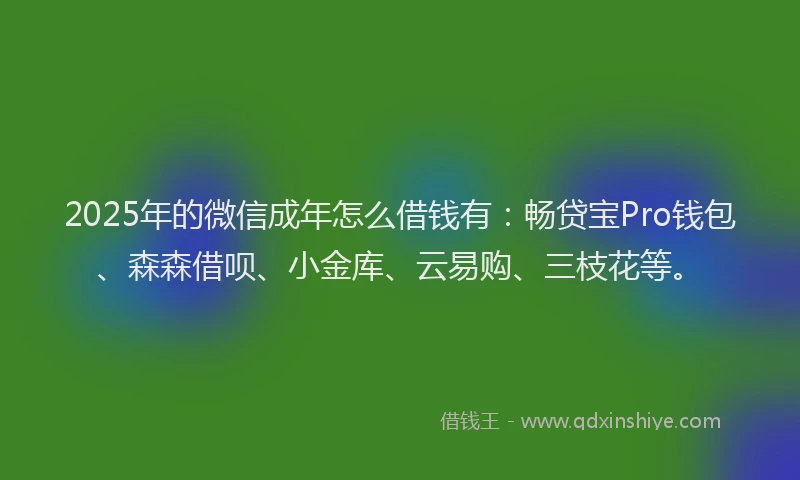 2025年的微信成年怎么借钱有：畅贷宝Pro钱包、森森借呗、小金库、云易购、三枝花等。
