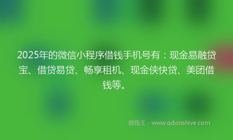 2025年的微信小程序借钱手机号有：现金易融贷宝、借贷易贷、畅享租机、现金侠快贷、美团借钱等。