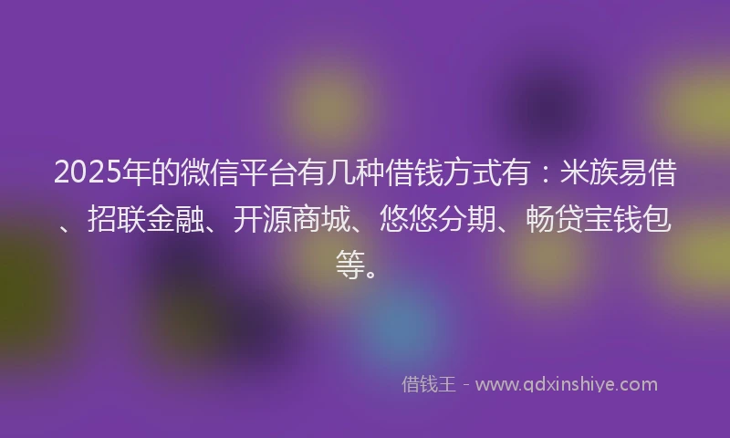 2025年的微信平台有几种借钱方式有：米族易借、招联金融、开源商城、悠悠分期、畅贷宝钱包等。