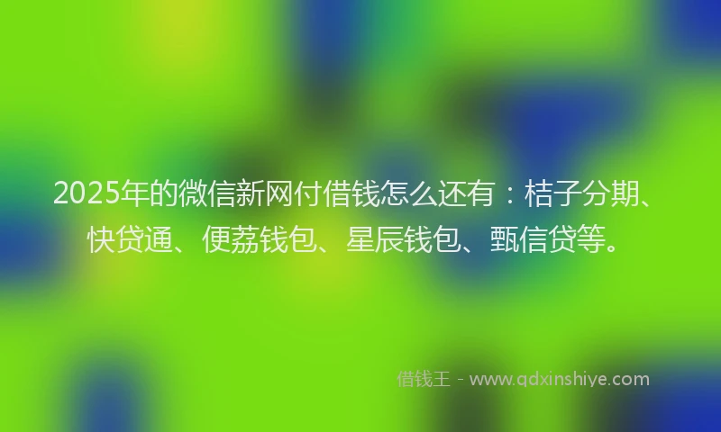 2025年的微信新网付借钱怎么还有：桔子分期、快贷通、便荔钱包、星辰钱包、甄信贷等。