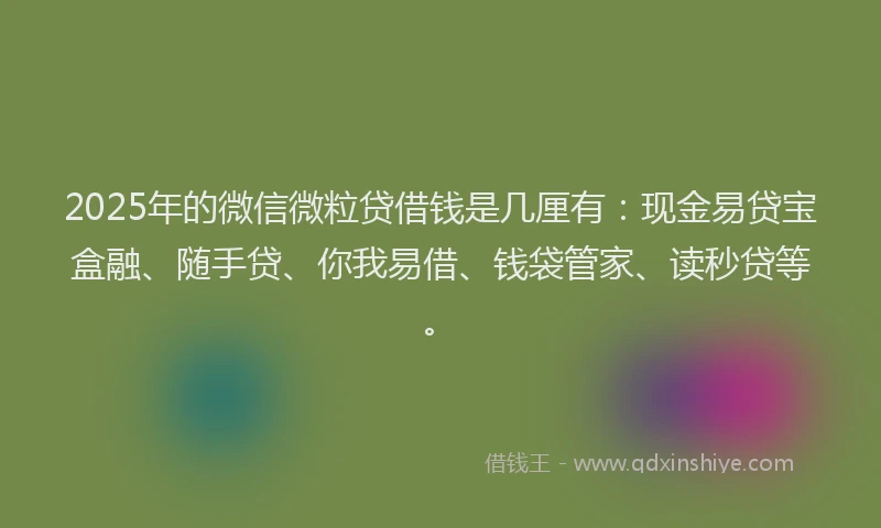 2025年的微信微粒贷借钱是几厘有：现金易贷宝盒融、随手贷、你我易借、钱袋管家、读秒贷等。
