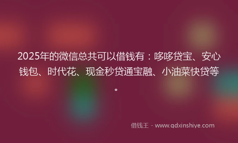 2025年的微信总共可以借钱有：哆哆贷宝、安心钱包、时代花、现金秒贷通宝融、小油菜快贷等。