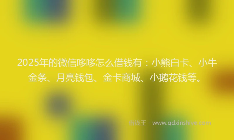 2025年的微信哆哆怎么借钱有：小熊白卡、小牛金条、月亮钱包、金卡商城、小鹅花钱等。