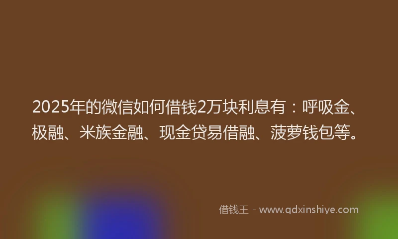 2025年的微信如何借钱2万块利息有：呼吸金、极融、米族金融、现金贷易借融、菠萝钱包等。