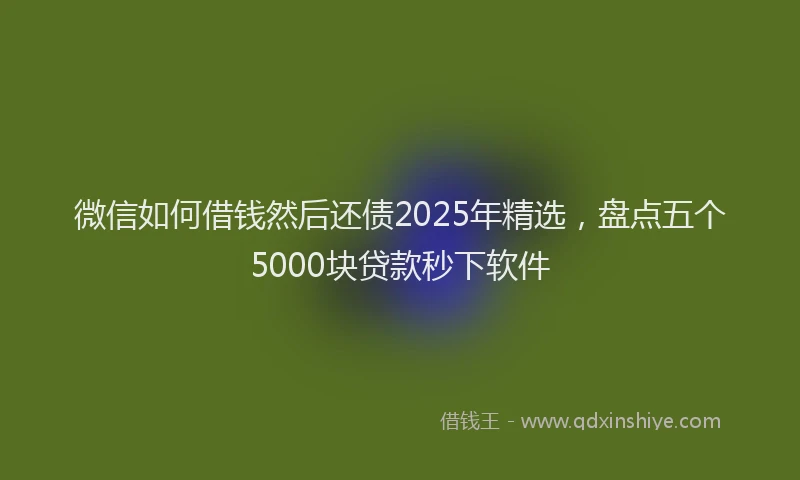 微信如何借钱然后还债2025年精选，盘点五个5000块贷款秒下软件