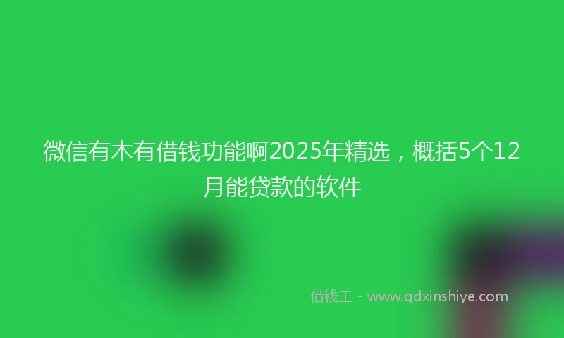微信有木有借钱功能啊2025年精选，概括5个12月能贷款的软件