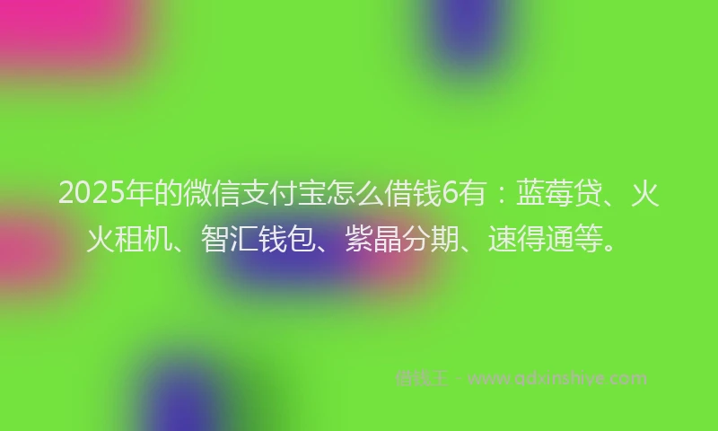 2025年的微信支付宝怎么借钱6有：蓝莓贷、火火租机、智汇钱包、紫晶分期、速得通等。