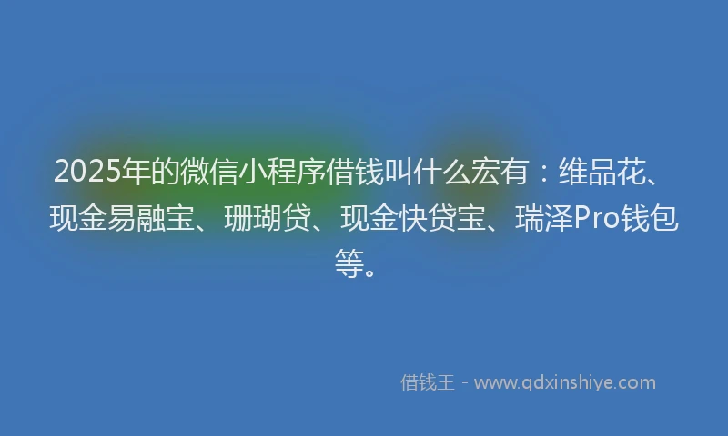 2025年的微信小程序借钱叫什么宏有：维品花、现金易融宝、珊瑚贷、现金快贷宝、瑞泽Pro钱包等。