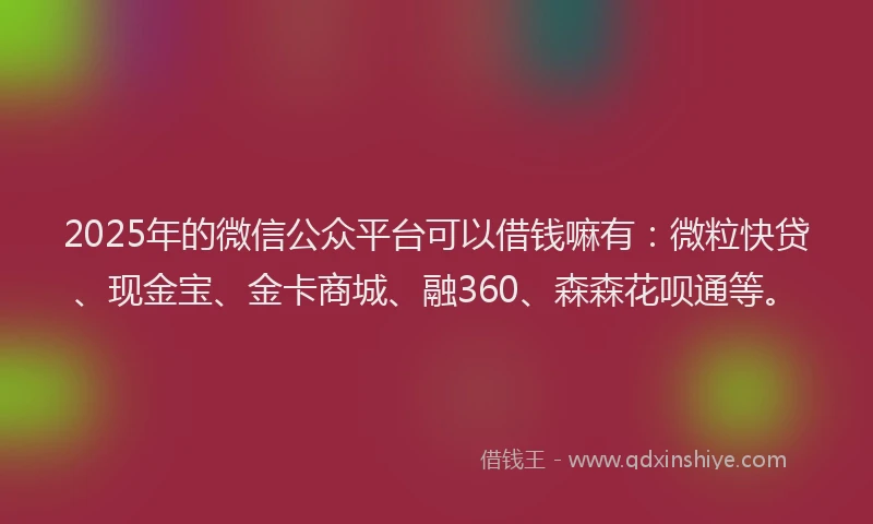 2025年的微信公众平台可以借钱嘛有：微粒快贷、现金宝、金卡商城、融360、森森花呗通等。