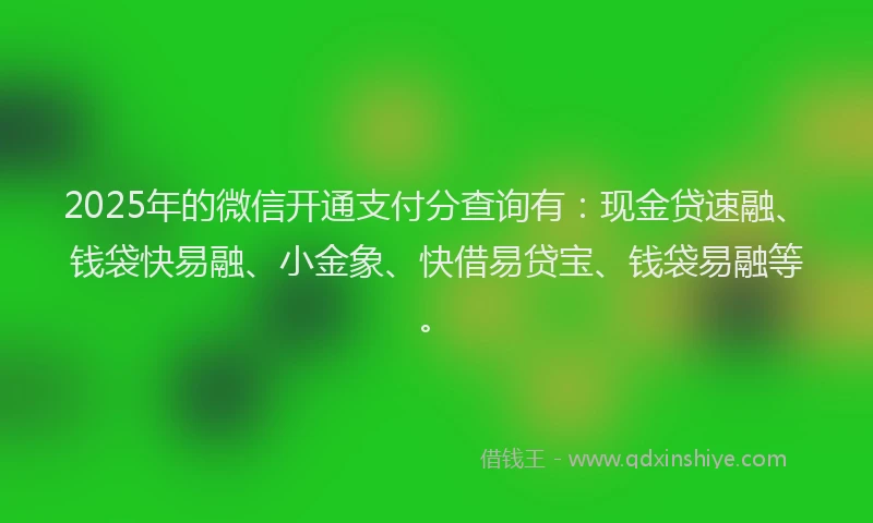 2025年的微信开通支付分查询有：现金贷速融、钱袋快易融、小金象、快借易贷宝、钱袋易融等。
