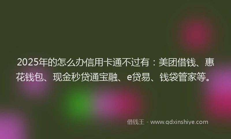 2025年的怎么办信用卡通不过有：美团借钱、惠花钱包、现金秒贷通宝融、e贷易、钱袋管家等。