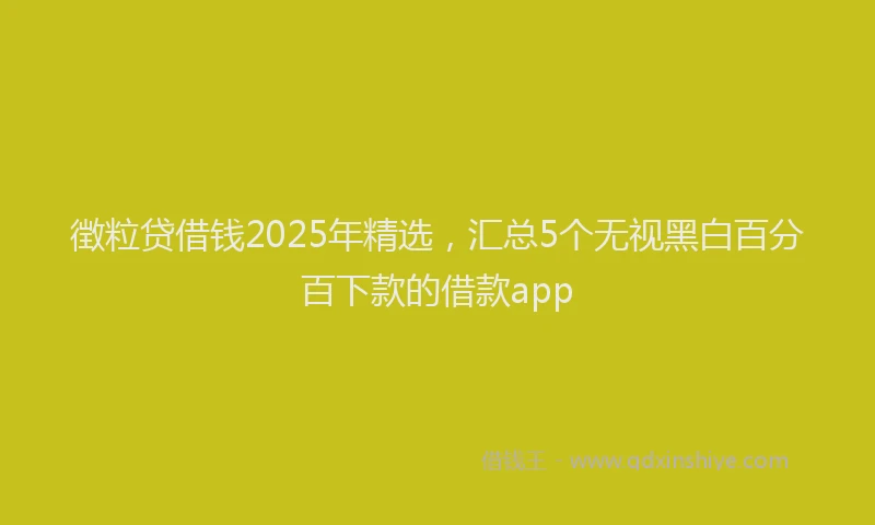 徴粒贷借钱2025年精选，汇总5个无视黑白百分百下款的借款app