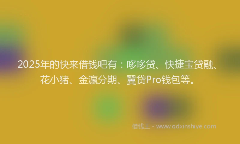 2025年的快来借钱吧有：哆哆贷、快捷宝贷融、花小猪、金瀛分期、翼贷Pro钱包等。