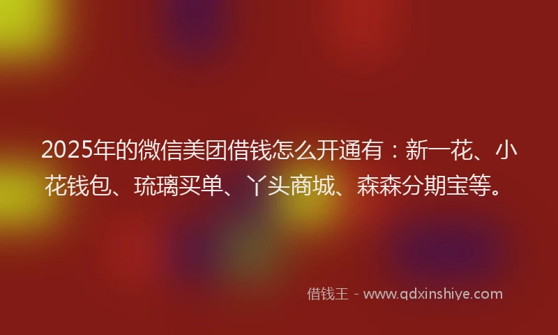 2025年的微信美团借钱怎么开通有：新一花、小花钱包、琉璃买单、丫头商城、森森分期宝等。