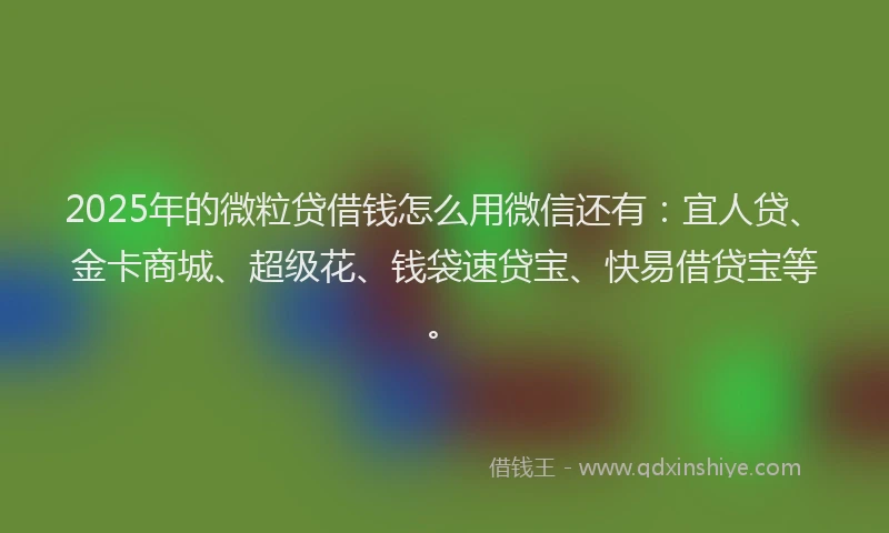 2025年的微粒贷借钱怎么用微信还有：宜人贷、金卡商城、超级花、钱袋速贷宝、快易借贷宝等。