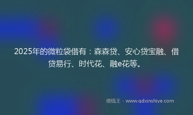 2025年的微粒袋借有：森森贷、安心贷宝融、借贷易行、时代花、融e花等。
