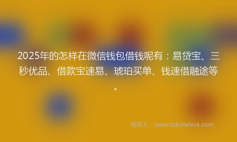 2025年的怎样在微信钱包借钱呢有：易贷宝、三秒优品、借款宝速易、琥珀买单、钱速借融途等。