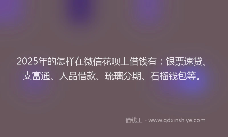 2025年的怎样在微信花呗上借钱有：银票速贷、支富通、人品借款、琉璃分期、石榴钱包等。