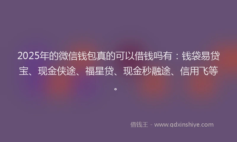 2025年的微信钱包真的可以借钱吗有：钱袋易贷宝、现金侠途、福星贷、现金秒融途、信用飞等。