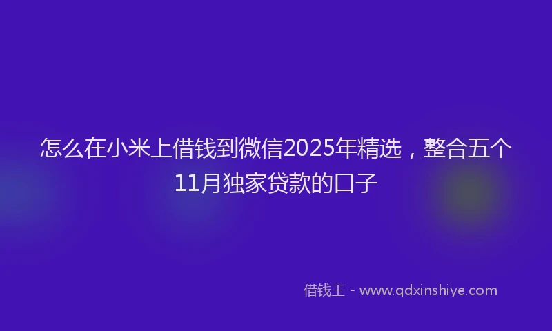 怎么在小米上借钱到微信2025年精选，整合五个11月独家贷款的口子