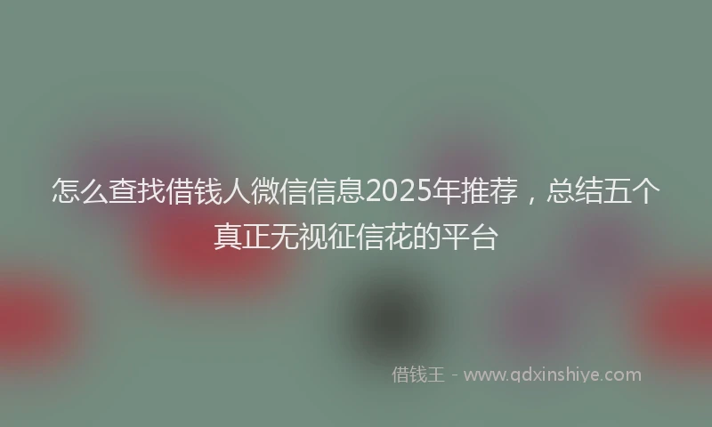 怎么查找借钱人微信信息2025年推荐，总结五个真正无视征信花的平台
