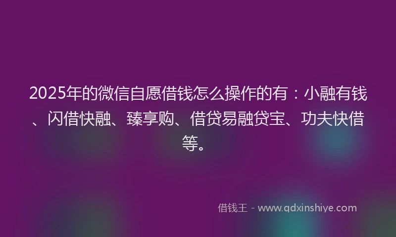 2025年的微信自愿借钱怎么操作的有：小融有钱、闪借快融、臻享购、借贷易融贷宝、功夫快借等。