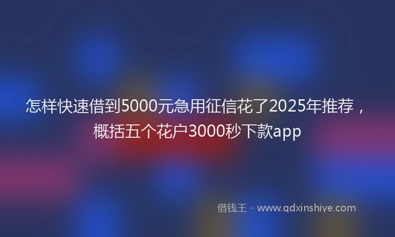 怎样快速借到5000元急用征信花了2025年推荐，概括五个花户3000秒下款app