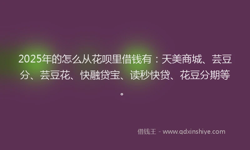 2025年的怎么从花呗里借钱有：天美商城、芸豆分、芸豆花、快融贷宝、读秒快贷、花豆分期等。