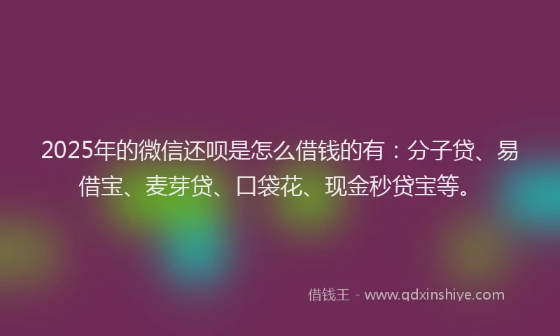 2025年的微信还呗是怎么借钱的有：分子贷、易借宝、麦芽贷、口袋花、现金秒贷宝等。