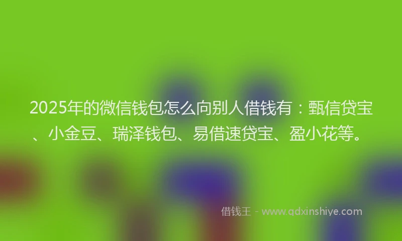 2025年的微信钱包怎么向别人借钱有：甄信贷宝、小金豆、瑞泽钱包、易借速贷宝、盈小花等。