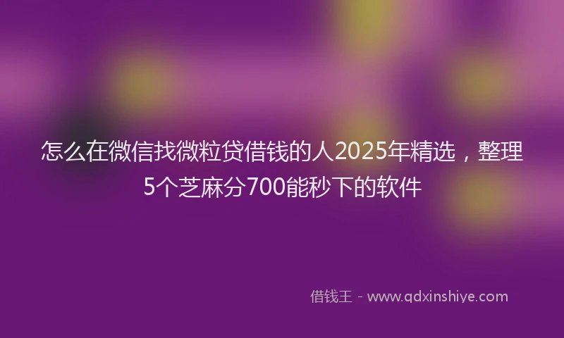 怎么在微信找微粒贷借钱的人2025年精选，整理5个芝麻分700能秒下的软件