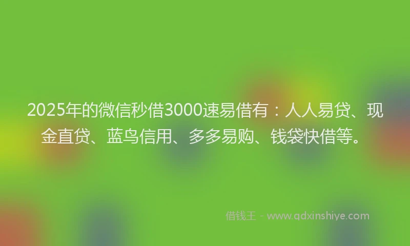 2025年的微信秒借3000速易借有：人人易贷、现金直贷、蓝鸟信用、多多易购、钱袋快借等。
