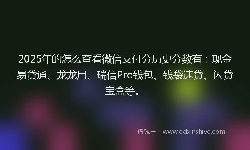 2025年的怎么查看微信支付分历史分数有：现金易贷通、龙龙用、瑞信Pro钱包、钱袋速贷、闪贷宝盒等。