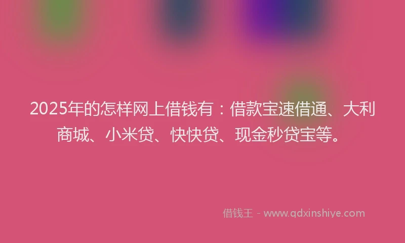 2025年的怎样网上借钱有：借款宝速借通、大利商城、小米贷、快快贷、现金秒贷宝等。