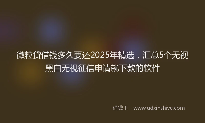 微粒贷借钱多久要还2025年精选，汇总5个无视黑白无视征信申请就下款的软件