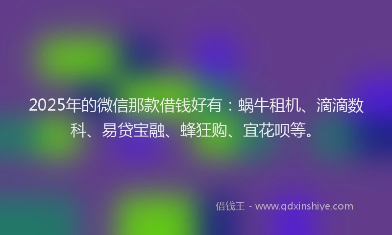 2025年的微信那款借钱好有：蜗牛租机、滴滴数科、易贷宝融、蜂狂购、宜花呗等。