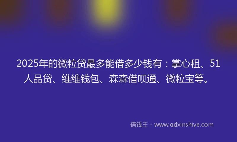 2025年的微粒贷最多能借多少钱有：掌心租、51人品贷、维维钱包、森森借呗通、微粒宝等。