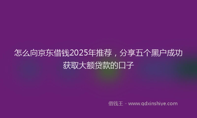 怎么向京东借钱2025年推荐，分享五个黑户成功获取大额贷款的口子