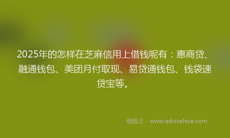 2025年的怎样在芝麻信用上借钱呢有：惠商贷、融通钱包、美团月付取现、易贷通钱包、钱袋速贷宝等。