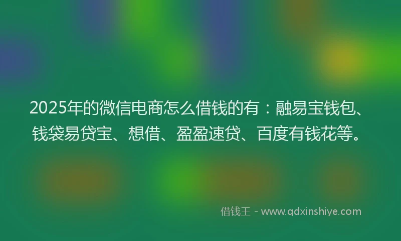 2025年的微信电商怎么借钱的有：融易宝钱包、钱袋易贷宝、想借、盈盈速贷、百度有钱花等。