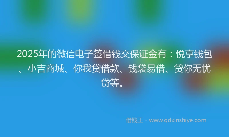 2025年的微信电子签借钱交保证金有：悦享钱包、小吉商城、你我贷借款、钱袋易借、贷你无忧贷等。